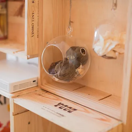 Apartment Guest Wine Experience Flat Porto